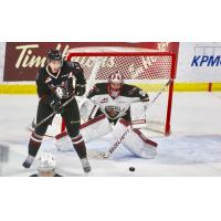 Vancouver Giants Goaltender David Tendeck minds the net vs. the Red Deer Rebels