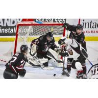 Vancouver Giants and Red Deer Rebels fight for a loose puck