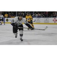 Cody Fowlie of the Jacksonville IceMen vs. the Norfolk Admirals