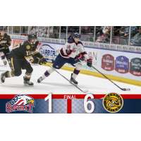 Saginaw Spirit vs. the Sarnia Sting