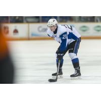 Saint John Sea Dogs Defenseman Radim Salda