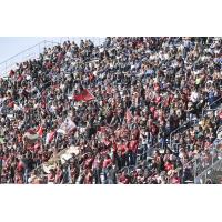 Sacramento Republic FC fans watch preseason action against Los Angeles Football Club