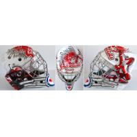 Moose Jaw Warriors Snowbirds goalie helmet