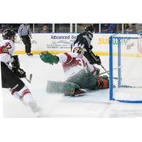 Idaho Steelheads in action