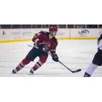 Tucson Roadrunners Forward Laurent Dauphin