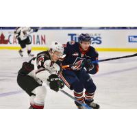 Vancouver Giants Center James Malm vs. the Kamloops Blazers