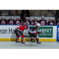 Kelowna Rockets vs. the Prince George Cougars