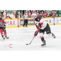 Prince George Cougars Defenseman Joel Lakusta