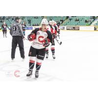 Prince George Cougars celebrate