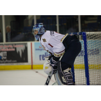 Goaltender Matt O'Connor with the Atlanta Gladiators