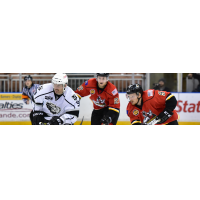 Manchester Monarchs Forward Kevin Morris vs. the Adirondack Thunder