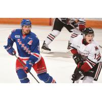 Kitchener Rangers vs. the Guelph Storm