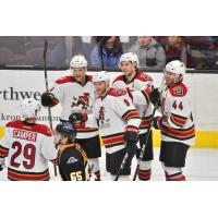 Tucson Roadrunners celebrate a goal