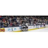 Jacksonville Icemen celebration