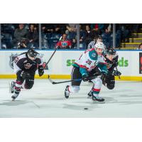 Kelowna Rockets Defenseman Cal Foote vs. the Vancouver Giants