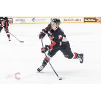 Prince George Cougars in action against the Portland Winterhawks