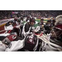 Colorado Mammoth Huddle