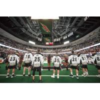 Colorado Mammoth Lineup