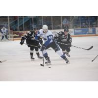 Ostap Safin of the Saint John Sea Dogs vs. the Charlottetown Islanders