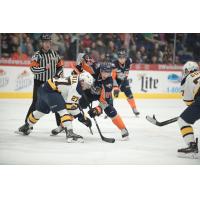 Flint Firebirds vs. the Erie Otters