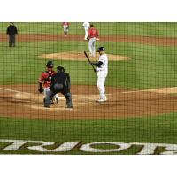 Protective Netting at TD Bank Ballpark