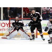 Vancouver Giants Goaltender David Tendeck