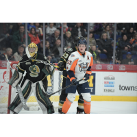 Flint Firebirds vs. the London Knights