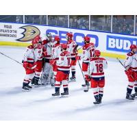 Allen Americans celebrate a win