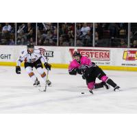 Steven McParland of the Idaho Steelheads vs. the Kansas City Mavericks