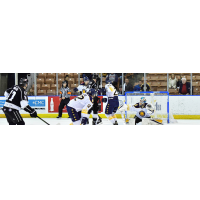 Cory Ward of the Machester Monarchs scores against the Norfolk Admirals