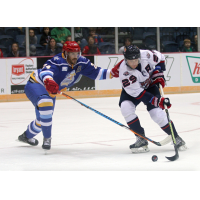 Macon Mayhem Left Wing Jake Trask vs. the Roanoke Rail Yard Dawgs