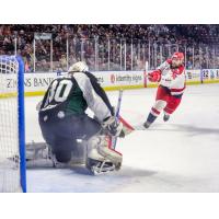 Allen Americans Forward Vincent Arseneau takes a shot against the Utah Grizzlies