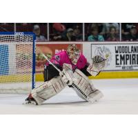 Idaho Steelheads Goaltender Tomas Sholl