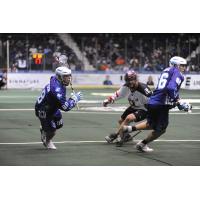 Cody Jamieson of the Rochester Knighthawks vs. the Calgary Roughnecks