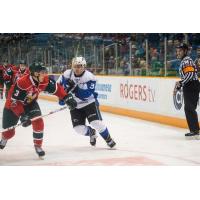 Saint John Sea Dogs vs. the Halifax Mooseheads