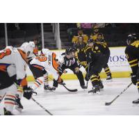 Lehigh Valley Phantoms face off with the Providence Bruins in the playoffs