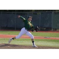 Wright State pitcher Ryan Weiss