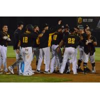 Sussex County Miners celebrate a walk-off win