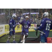 Cody Jamieson of the Rochester Knighthawks after a score