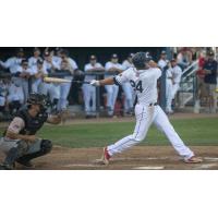 Nick Nyquist of the Walla Walla Sweets takes a big swing