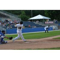 Sussex County Miners catcher Luis Alen with a big swing