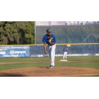 Walla Walla Sweets pitcher Darius Vines on the mound