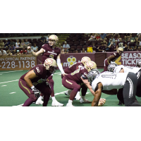 Maine Mammoths offense lines up against the Carolina Cobras