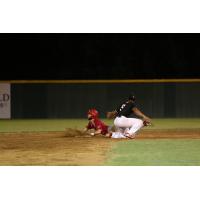 Texarkana Twins try to tag out the Adadiana Cane Cutters