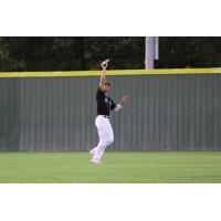 Texarkana Twins make a catch in the outfield