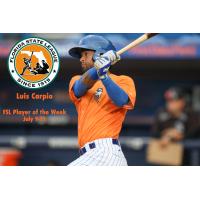 St. Lucie Mets infielder Luis Carpio