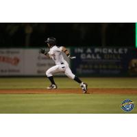 Oswaldo Cabrera of the Charleston RiverDogs races around the bases with a triple