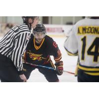 Forward Manny Gialedakis with the University of Guelph