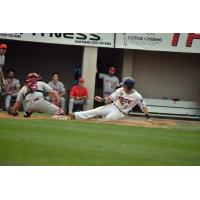 Ryan Davis of the St. Cloud Rox slides home safely