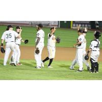 Long Island Ducks exchange high fives after a late win